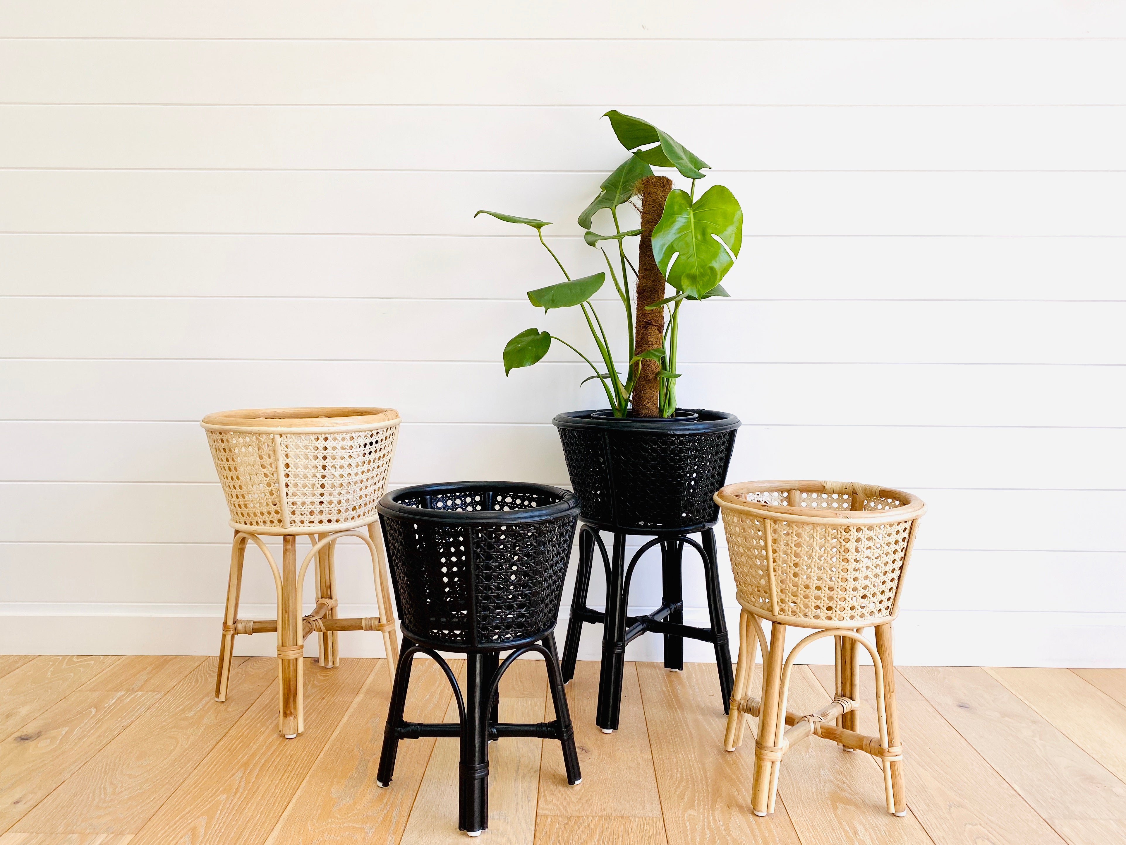 The Avoca plant stand