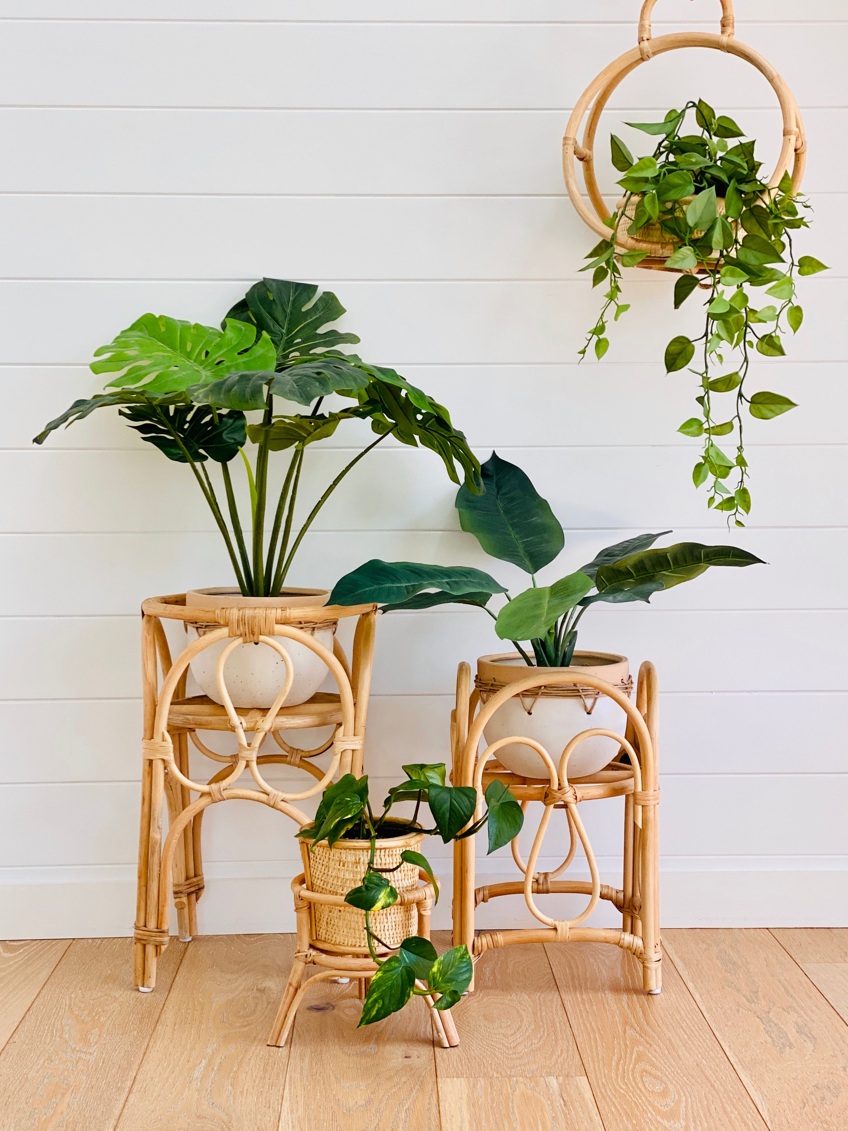 The Byron hanging planter