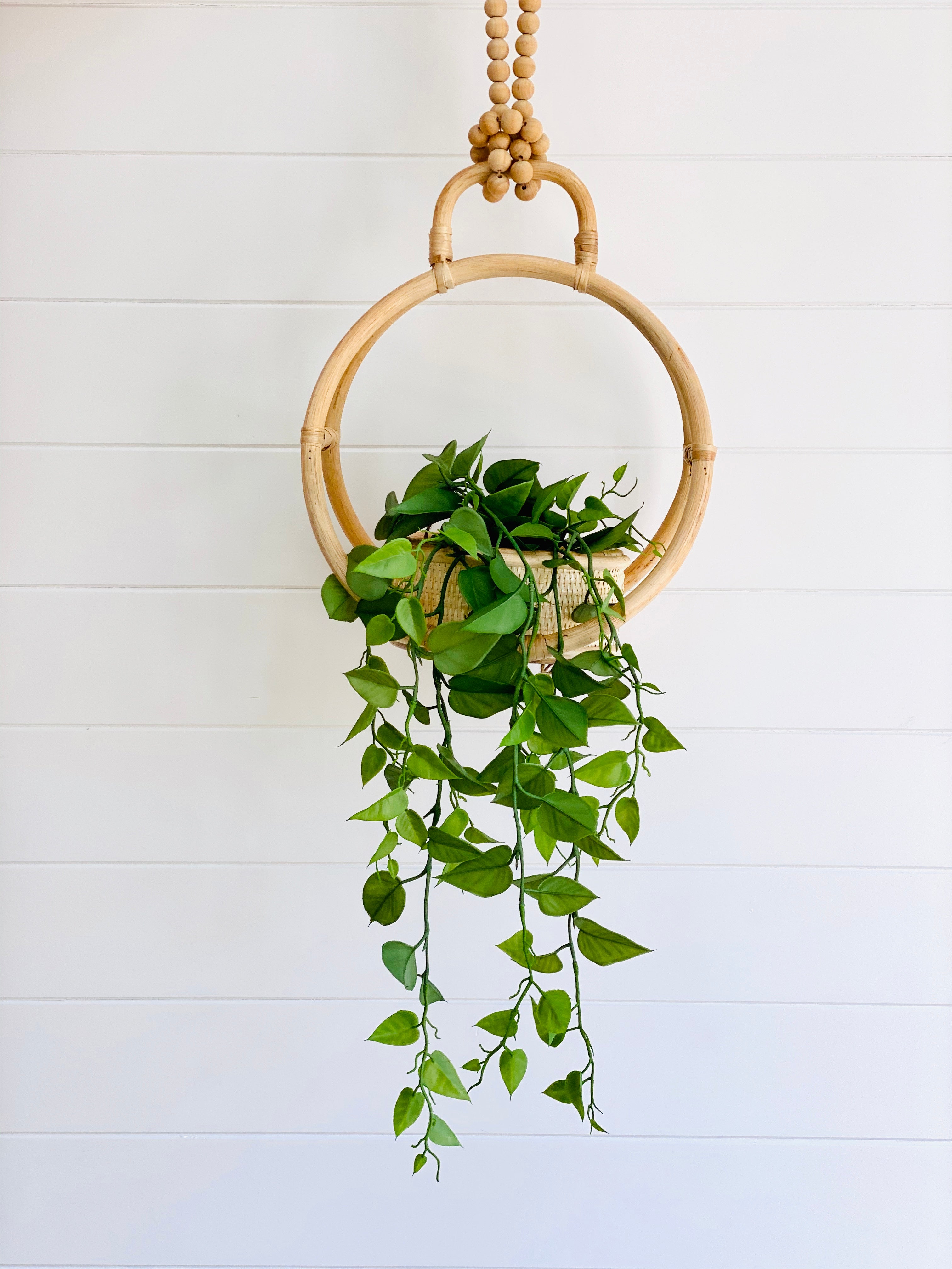 The Byron hanging planter