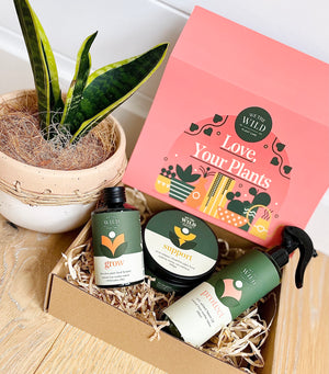 Plant essentials care kit