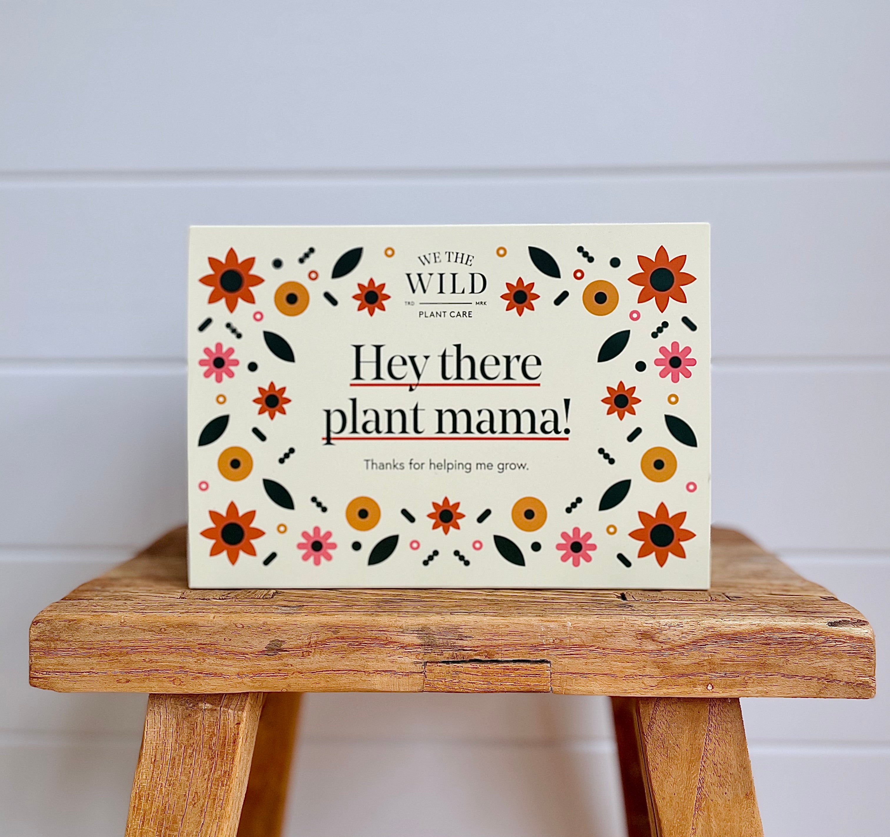 Plant Mama essentials care kit